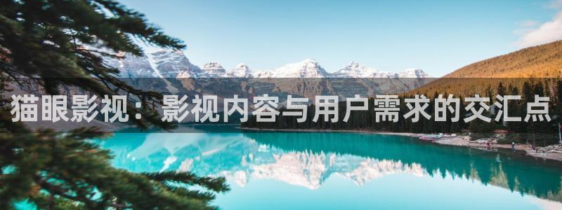 欧美色爱午夜影院：猫眼影视：影视内容与用户需求的交汇点