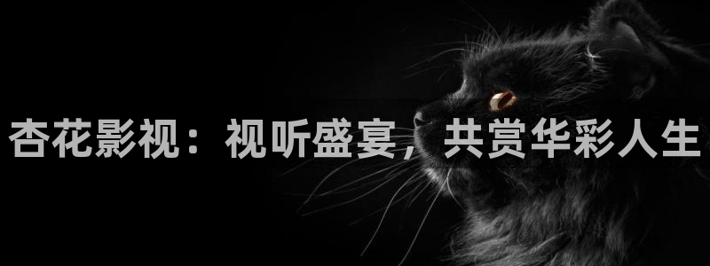 午夜电影嘿咻嘿咻