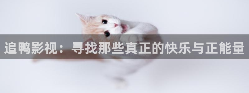 神马午夜秋霞电影：追鸭影视：寻找那些真正的快乐与正能量