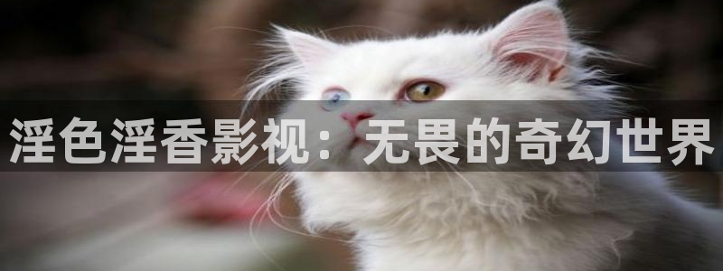 午夜八戒影院：淫色淫香影视：无畏的奇幻世界